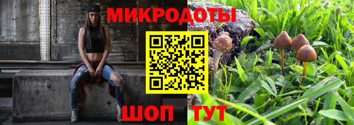 Псилоцибиновые грибы Cubensis Тобольск